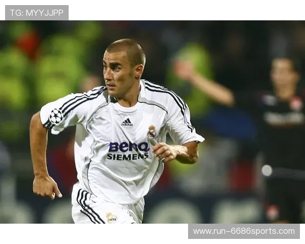 足球赛场巨星风采尽显，荣耀背后与拼搏历程相伴